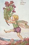 flower fairies picture gallery